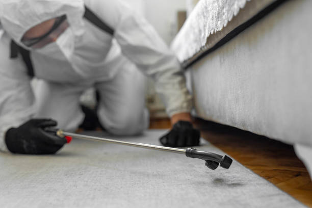 Professional Termite Control technician working in Spring City, TN
