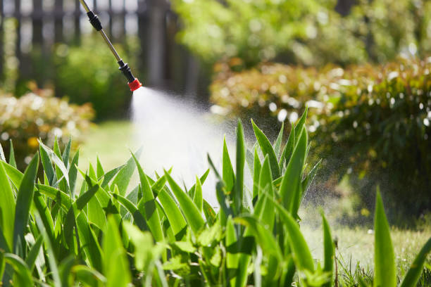24/7 Emergency Termite Control experts in Spring City, TN